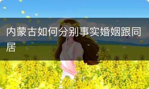内蒙古如何分别事实婚姻跟同居