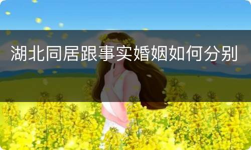 湖北同居跟事实婚姻如何分别