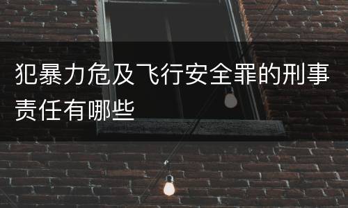 犯暴力危及飞行安全罪的刑事责任有哪些