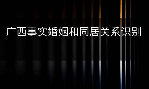 广西事实婚姻和同居关系识别