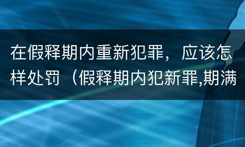 在假释期内重新犯罪，应该怎样处罚（假释期内犯新罪,期满后发现）