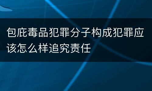 包庇毒品犯罪分子构成犯罪应该怎么样追究责任