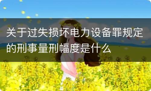关于过失损坏电力设备罪规定的刑事量刑幅度是什么