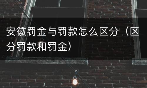 安徽罚金与罚款怎么区分（区分罚款和罚金）