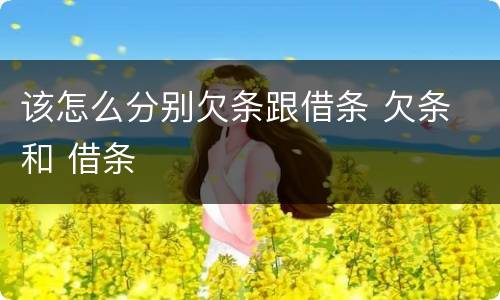 该怎么分别欠条跟借条 欠条 和 借条