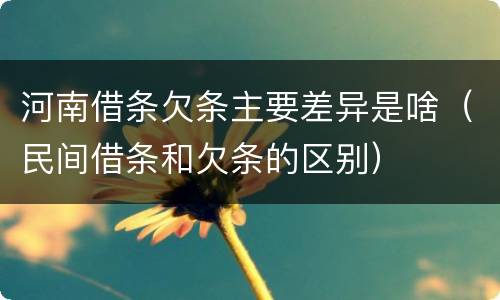 河南借条欠条主要差异是啥（民间借条和欠条的区别）