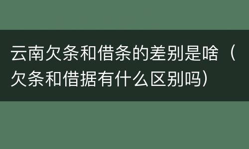 云南欠条和借条的差别是啥（欠条和借据有什么区别吗）