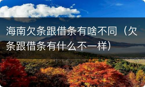 海南欠条跟借条有啥不同（欠条跟借条有什么不一样）