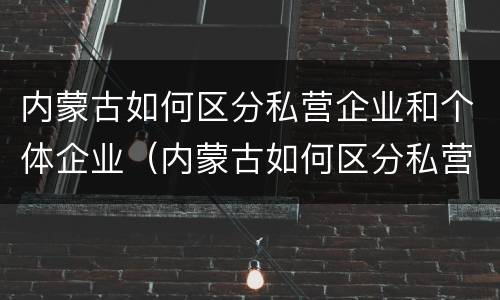 内蒙古如何区分私营企业和个体企业（内蒙古如何区分私营企业和个体企业）