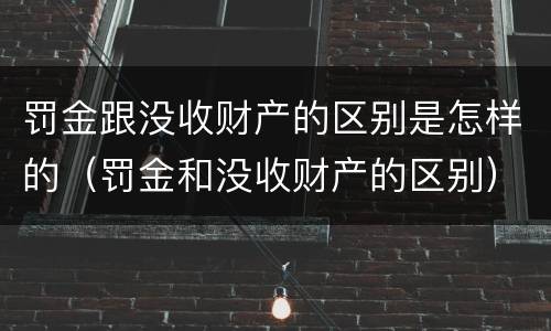 罚金跟没收财产的区别是怎样的（罚金和没收财产的区别）