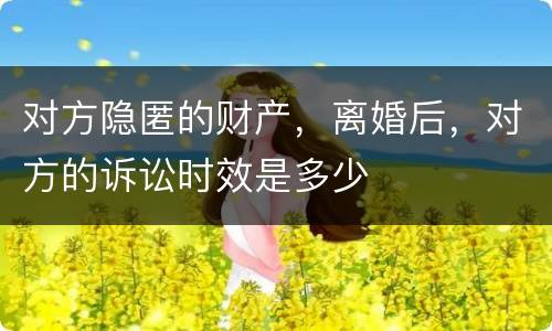 对方隐匿的财产，离婚后，对方的诉讼时效是多少