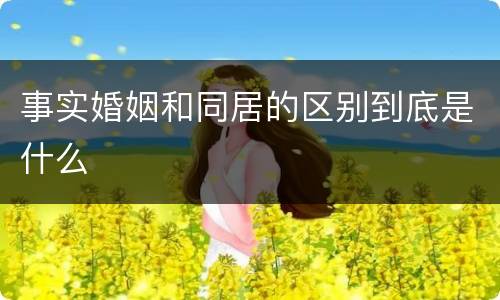 事实婚姻和同居的区别到底是什么