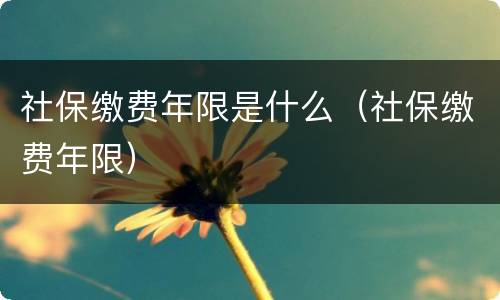 社保缴费年限是什么（社保缴费年限）