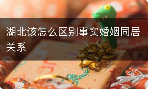 湖北该怎么区别事实婚姻同居关系