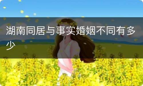湖南同居与事实婚姻不同有多少