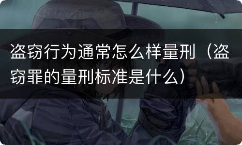 盗窃行为通常怎么样量刑（盗窃罪的量刑标准是什么）