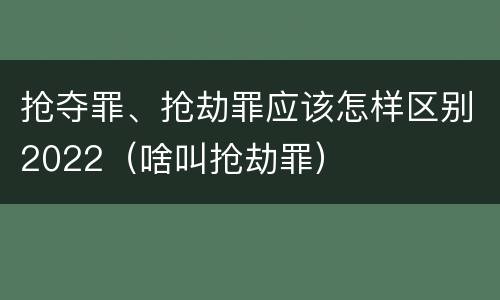 抢夺罪、抢劫罪应该怎样区别2022（啥叫抢劫罪）
