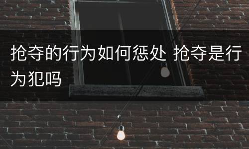 抢夺的行为如何惩处 抢夺是行为犯吗