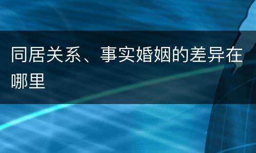 同居关系、事实婚姻的差异在哪里