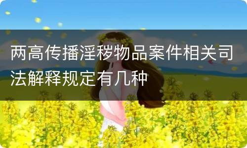 两高传播淫秽物品案件相关司法解释规定有几种