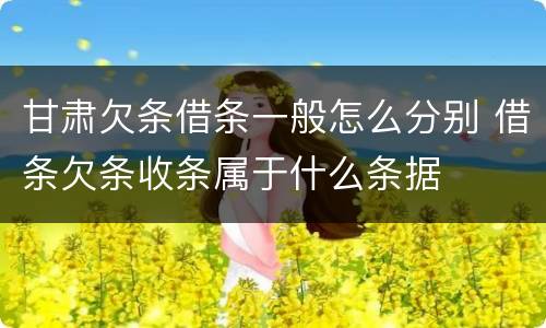 甘肃欠条借条一般怎么分别 借条欠条收条属于什么条据