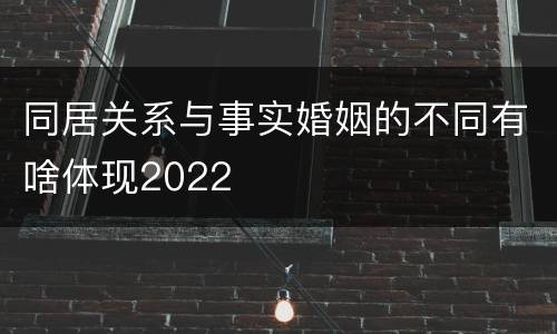 同居关系与事实婚姻的不同有啥体现2022