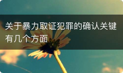 关于暴力取证犯罪的确认关键有几个方面