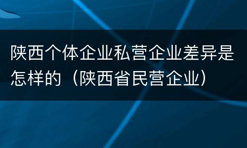 陕西个体企业私营企业差异是怎样的（陕西省民营企业）
