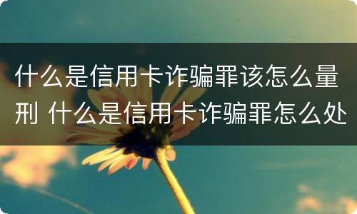 什么是信用卡诈骗罪该怎么量刑 什么是信用卡诈骗罪怎么处罚
