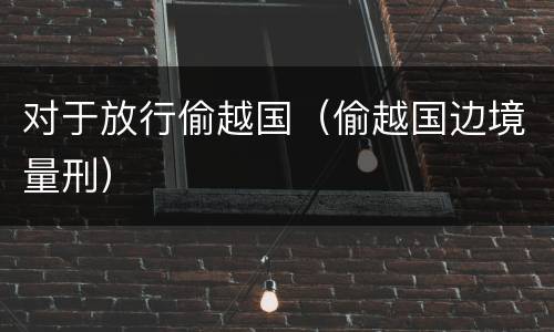 对于放行偷越国（偷越国边境量刑）