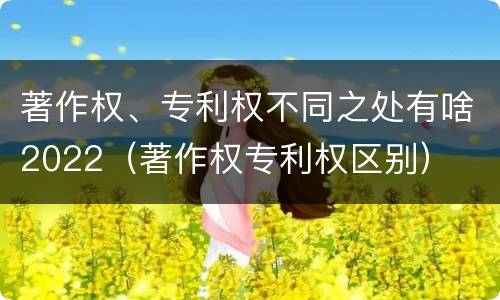 著作权、专利权不同之处有啥2022（著作权专利权区别）