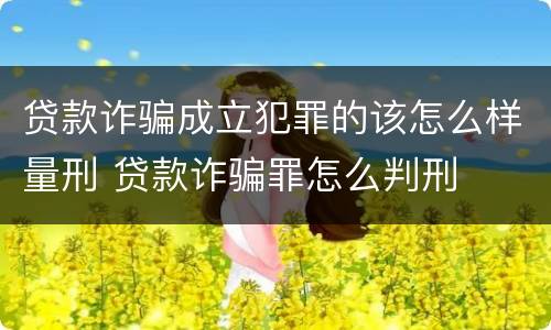 贷款诈骗成立犯罪的该怎么样量刑 贷款诈骗罪怎么判刑