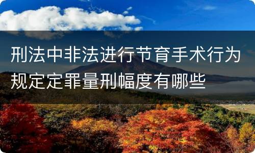 刑法中非法进行节育手术行为规定定罪量刑幅度有哪些