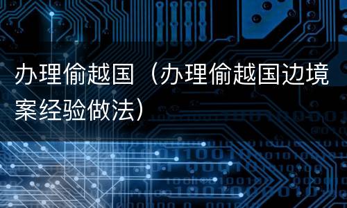 办理偷越国（办理偷越国边境案经验做法）