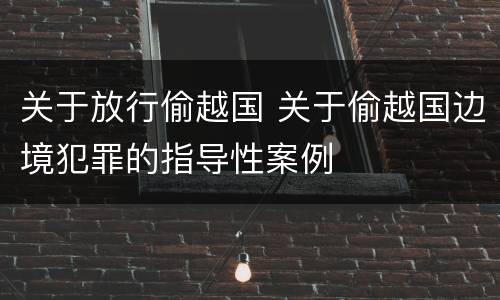 关于放行偷越国 关于偷越国边境犯罪的指导性案例