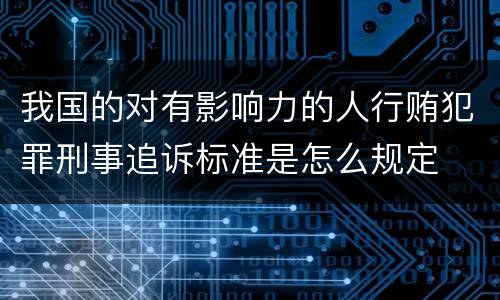 我国的对有影响力的人行贿犯罪刑事追诉标准是怎么规定