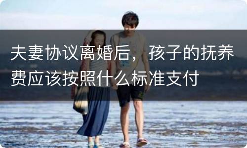 夫妻协议离婚后，孩子的抚养费应该按照什么标准支付