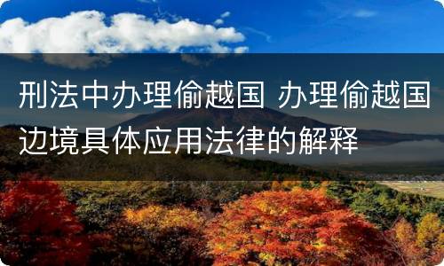 刑法中办理偷越国 办理偷越国边境具体应用法律的解释