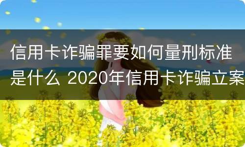 信用卡诈骗罪要如何量刑标准是什么 2020年信用卡诈骗立案标准