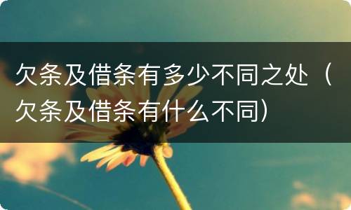 欠条及借条有多少不同之处（欠条及借条有什么不同）