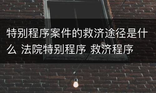 特别程序案件的救济途径是什么 法院特别程序 救济程序