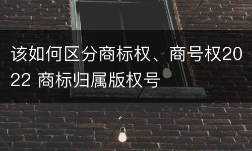 该如何区分商标权、商号权2022 商标归属版权号