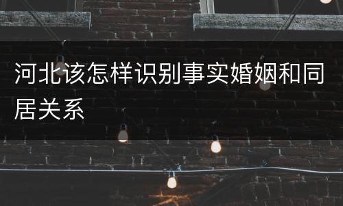 河北该怎样识别事实婚姻和同居关系