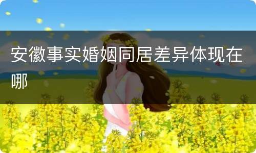 安徽事实婚姻同居差异体现在哪