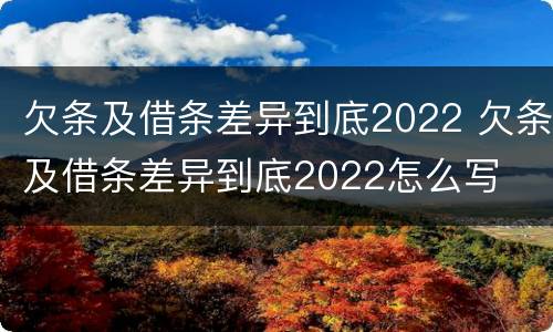 欠条及借条差异到底2022 欠条及借条差异到底2022怎么写
