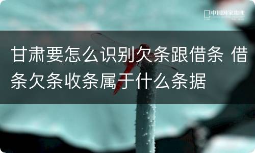 甘肃要怎么识别欠条跟借条 借条欠条收条属于什么条据
