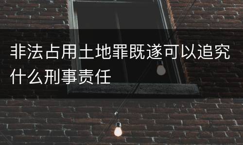 非法占用土地罪既遂可以追究什么刑事责任