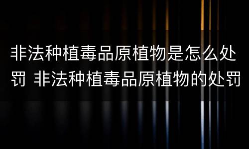 非法种植毒品原植物是怎么处罚 非法种植毒品原植物的处罚