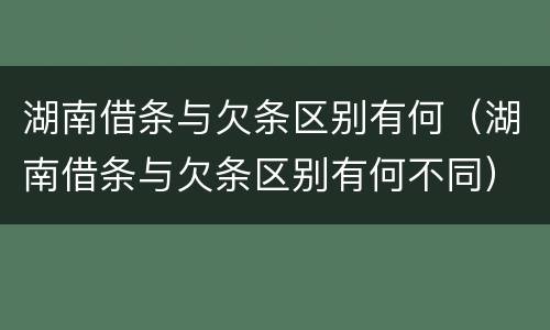 湖南借条与欠条区别有何（湖南借条与欠条区别有何不同）