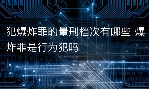 犯爆炸罪的量刑档次有哪些 爆炸罪是行为犯吗